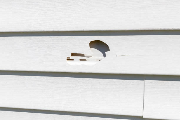 Best Siding Removal and Disposal  in Orleans, VT